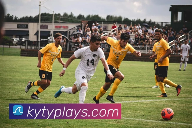 开云体育平台生态图