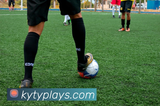 开云体育APP 封面图